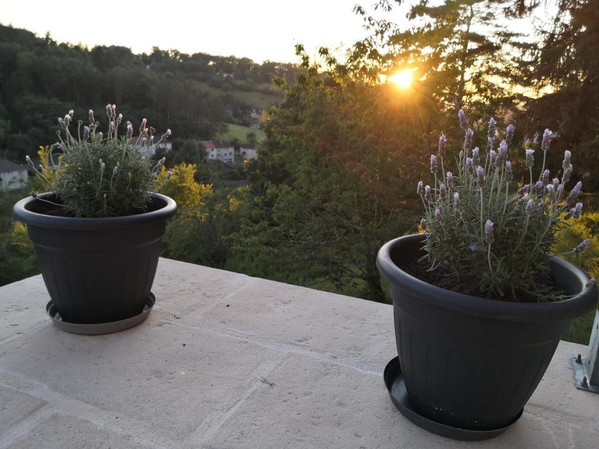 Chambre Meublee Avec Vue Panoramique A Perigueux Sanilhac  Екстер'єр фото